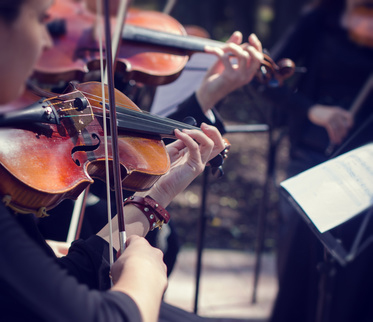 Geige spielen lernen in Hamburg Bergstedt und Volksdorf
